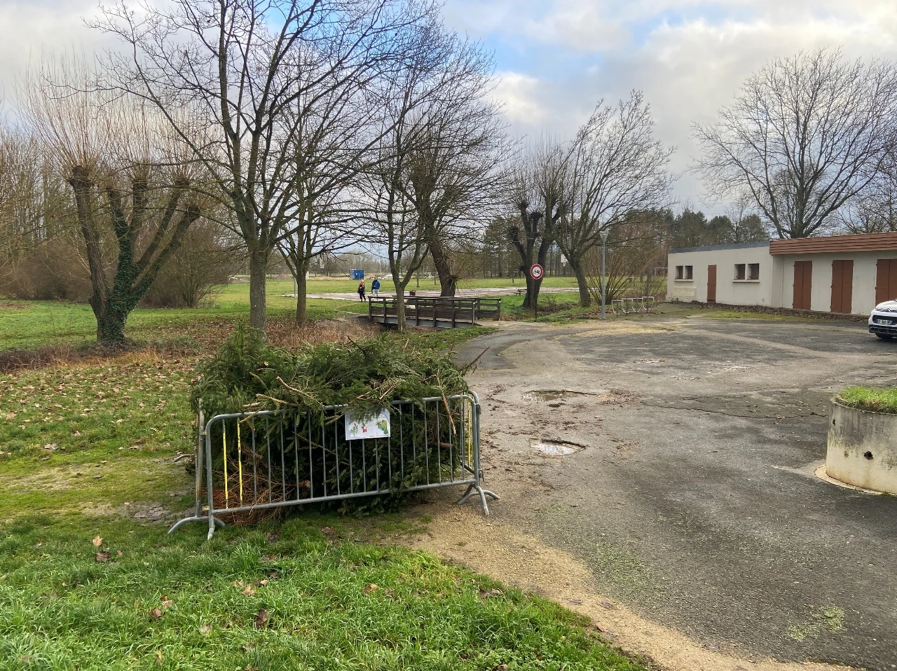 Points de collecte et recyclage des sapins