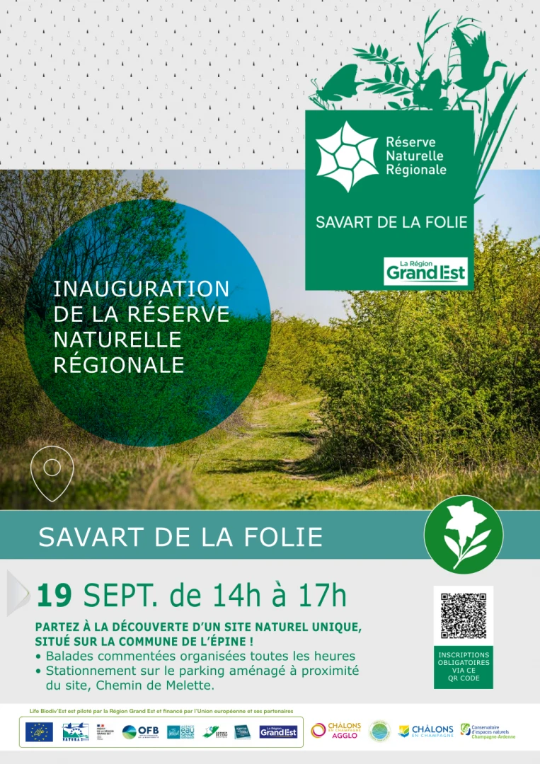 0919%20-%20savart%20Folie