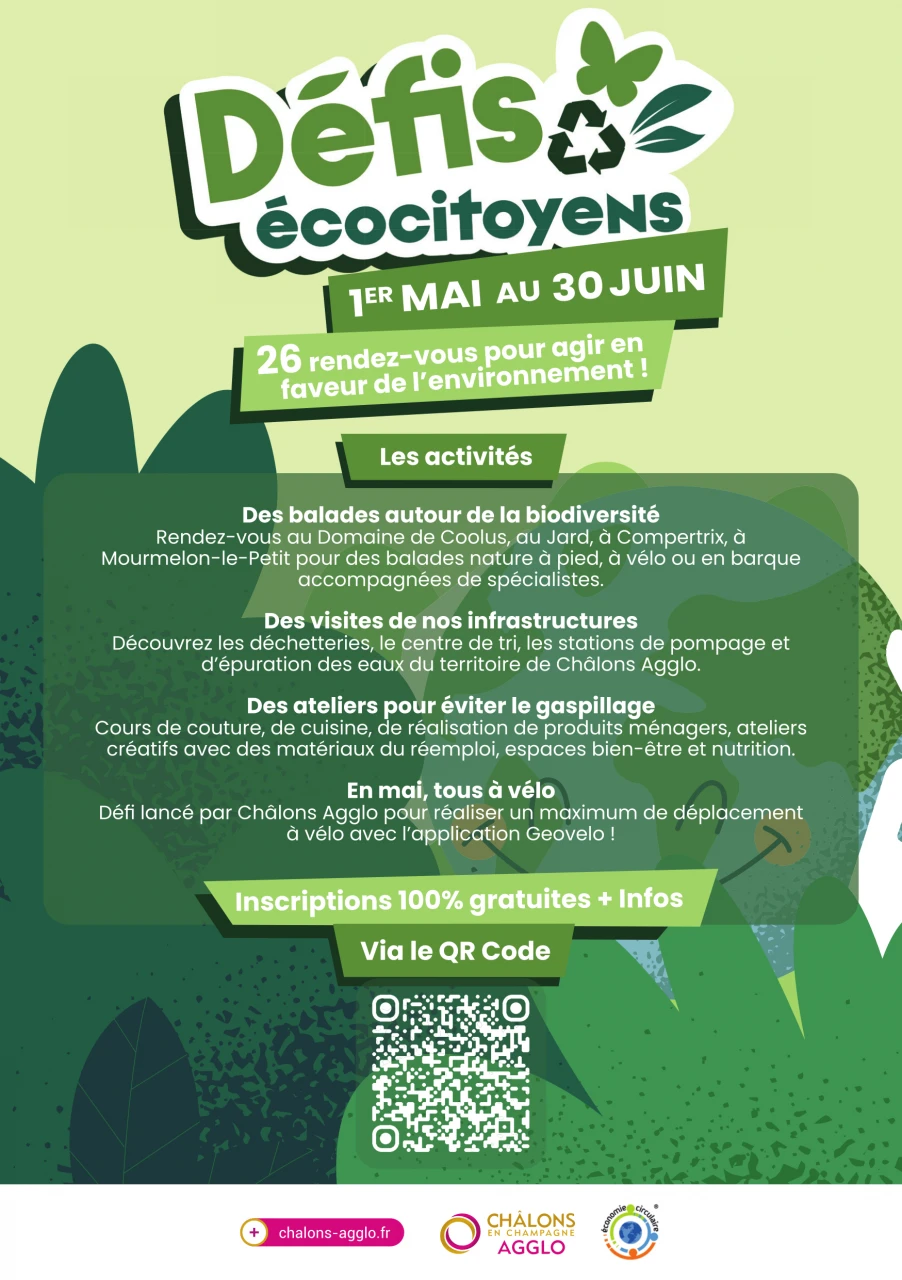ECODEFIS_flyer