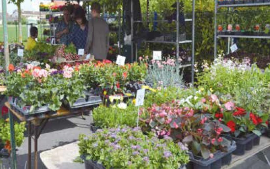 Marché de printemps 