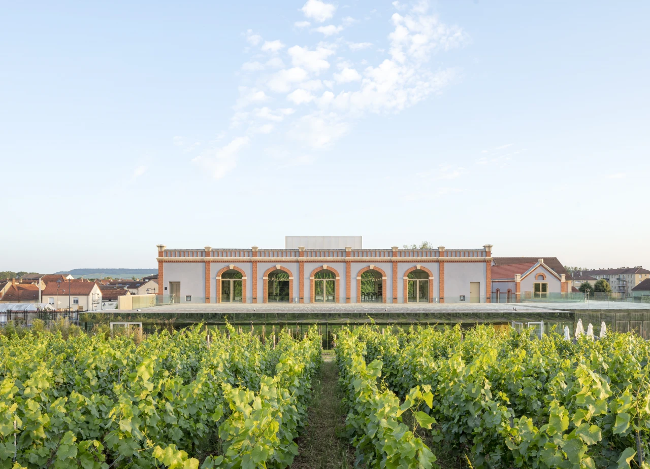 Vignobles en Scène : Animations inédites et experiences immersives chez Pressoria