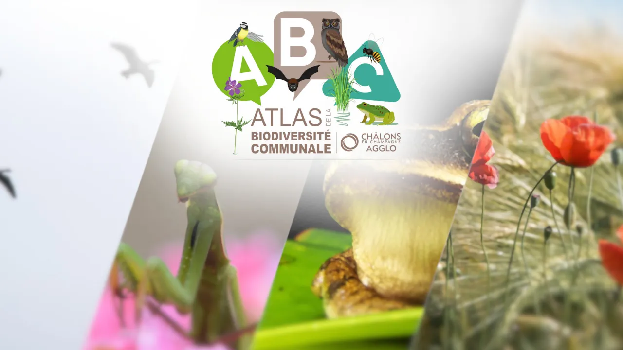 Atlas de la Biodiversité