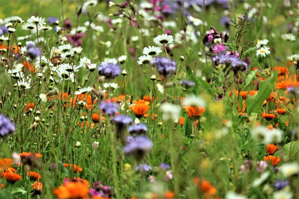 Atlas de la Biodiversité - Questionnaire