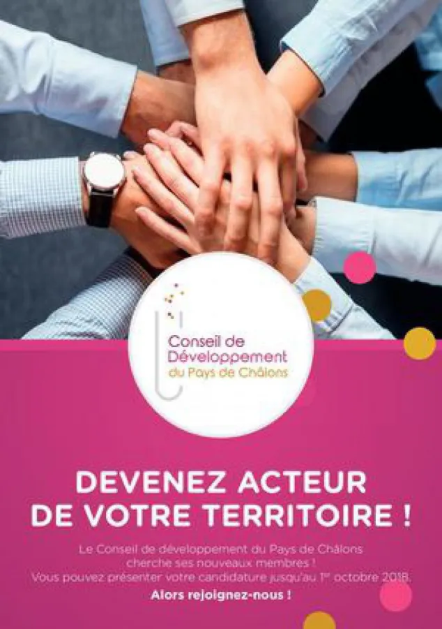 Conseil de développement