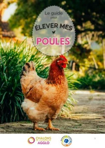 Guide pour bien accueillir ses poules !