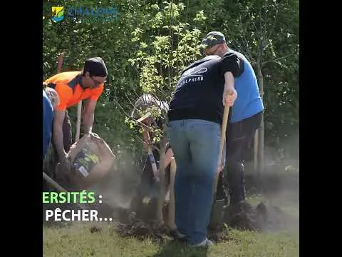 Le plan arbre continue son chemin à la Vallée St Pierre