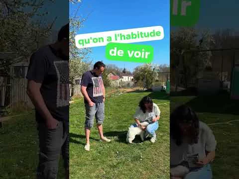 Épisode 3 | Jardin Biodiversité - Un potager pas comme les autres !