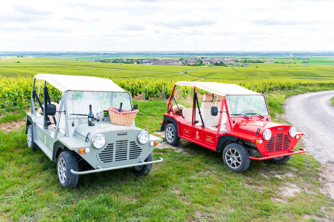 Champagne Baron Dauvergne : Immersion Vendanges