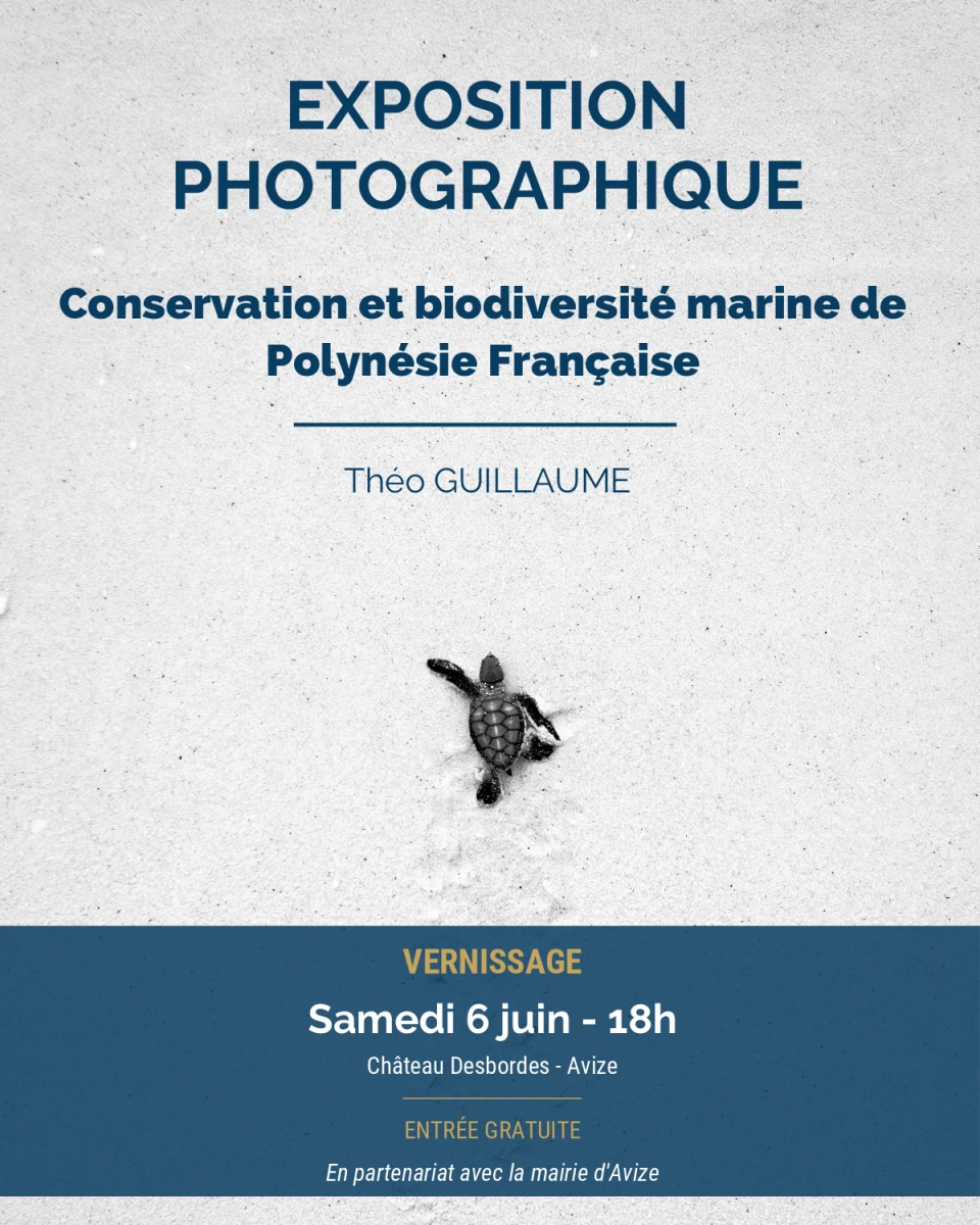 Image de gallerie 74