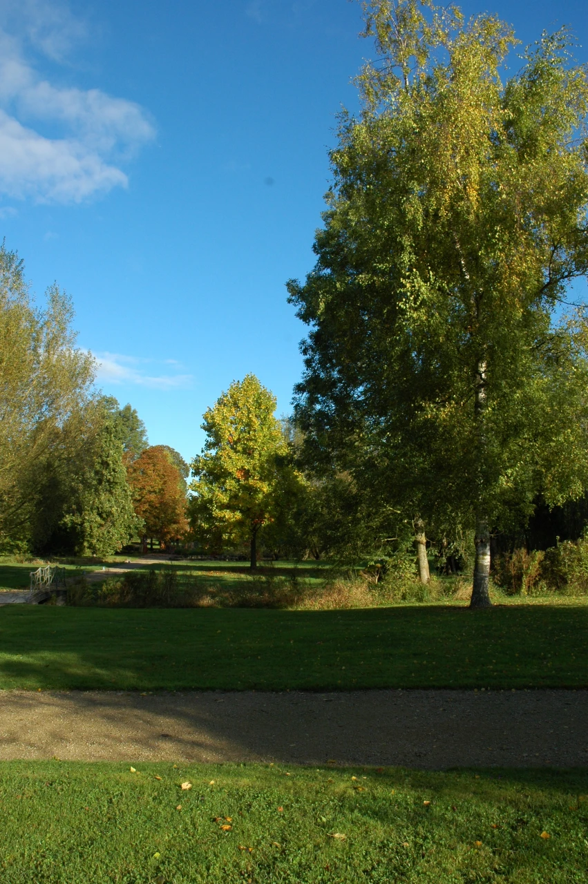Fête de l'Abeille, du miel et de la biodiversité