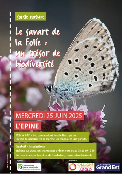 Le Savart de la Folie : un trésor de biodiversité