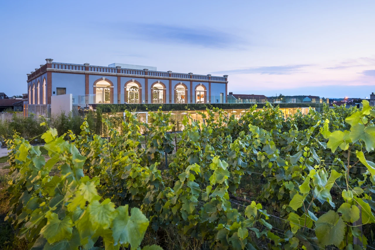 Marché gourmand et créatif à Pressoria