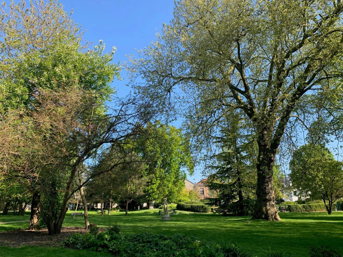 RDV aux Jardins - Parcours Guidé de l’Arbre