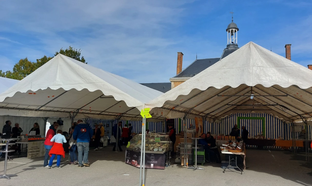 Image de gallerie 79