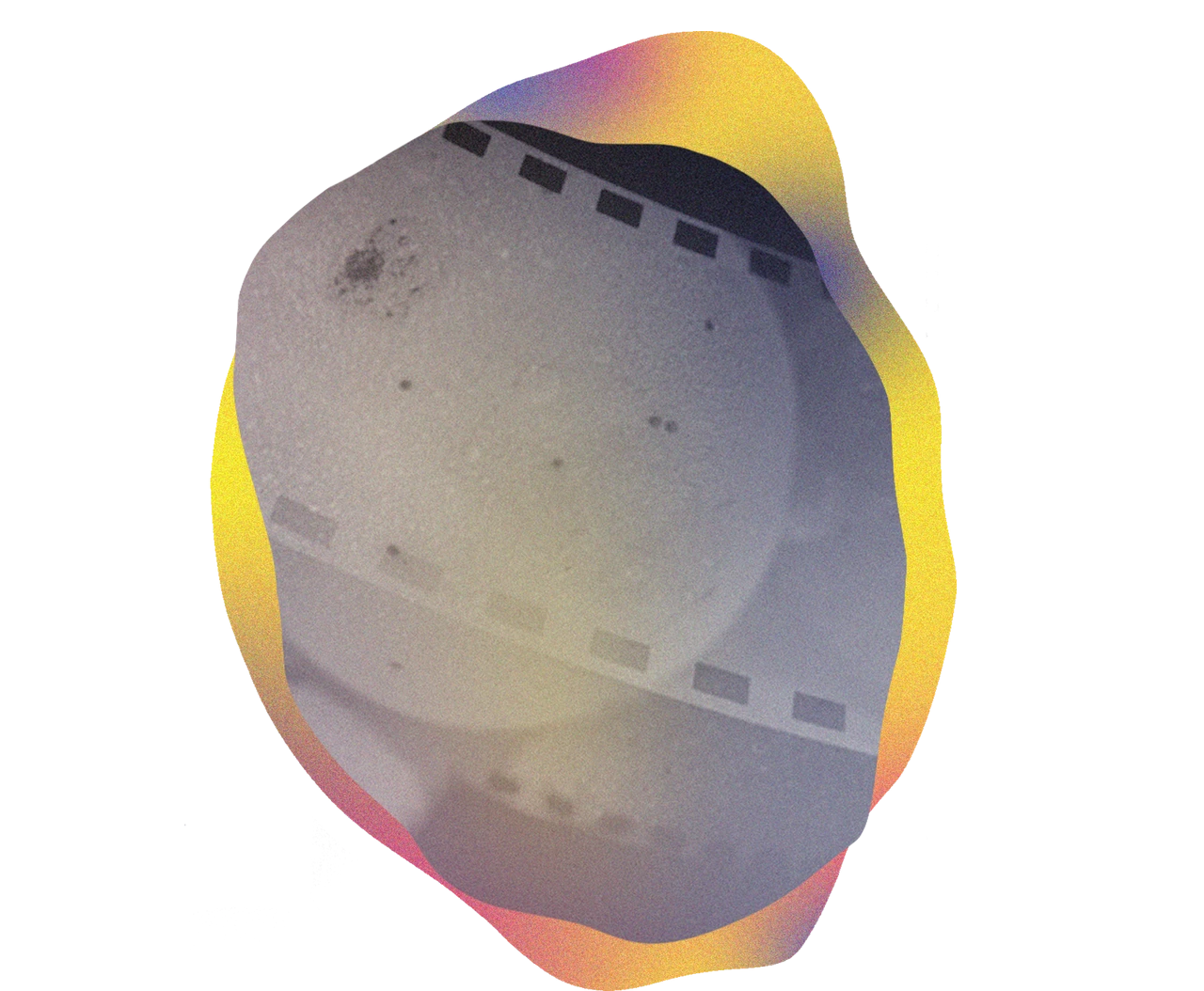 Soirée courts en champagne 