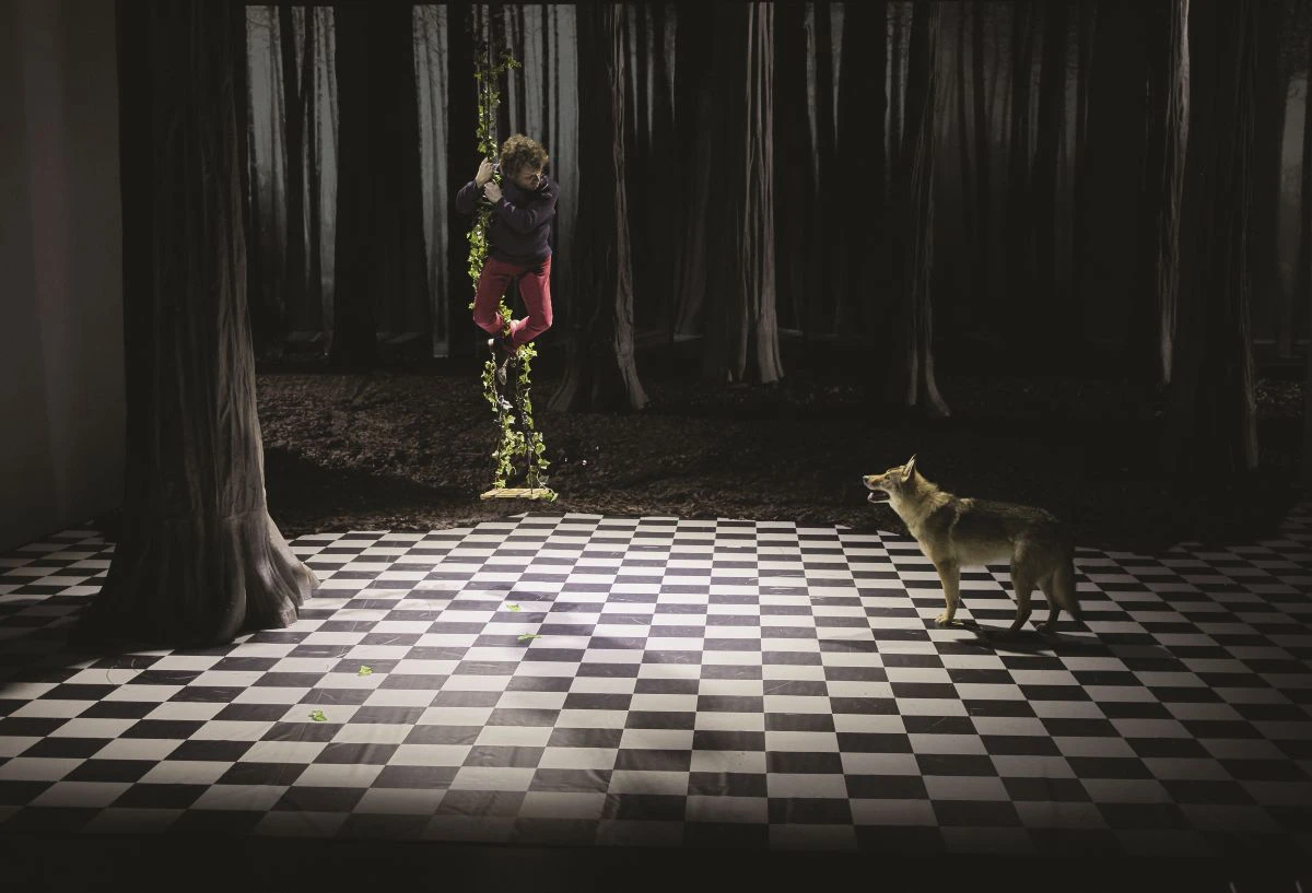 Spectacle : Le bruit des loups 